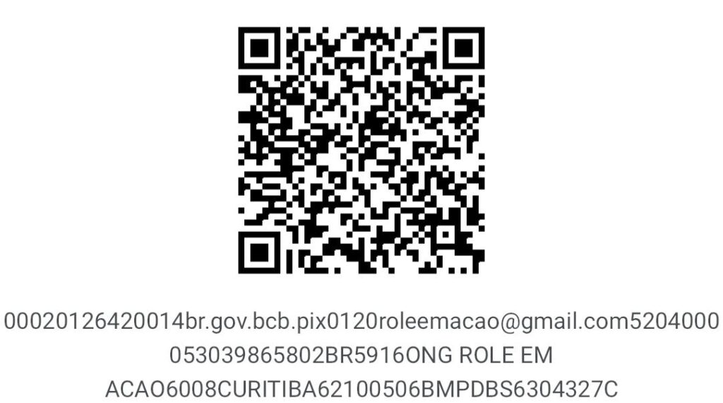 Pix - Rolê em Ação